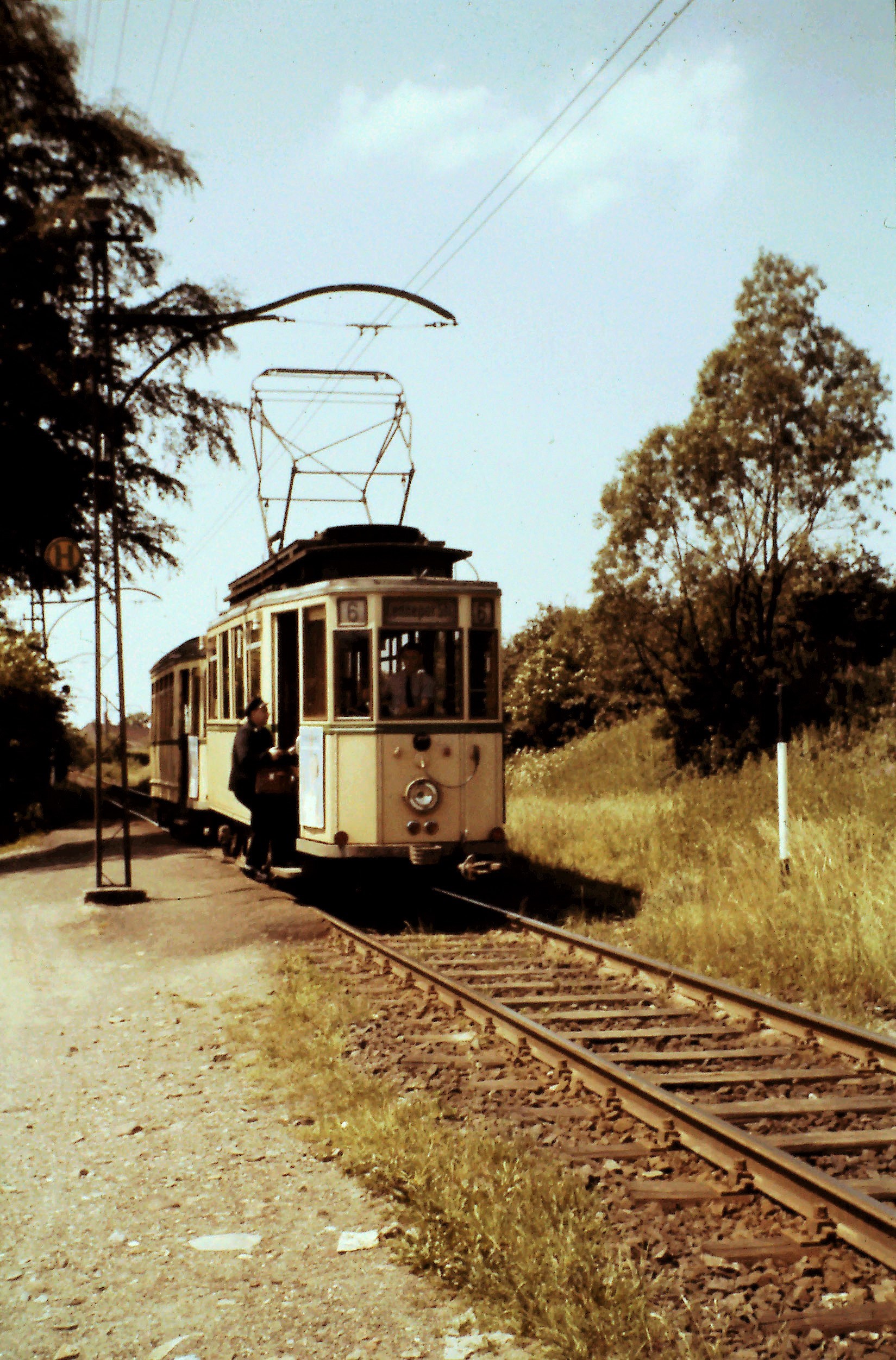Featured image for “KW05/2025 – Wuppertal: Die Welt ist bunt!”