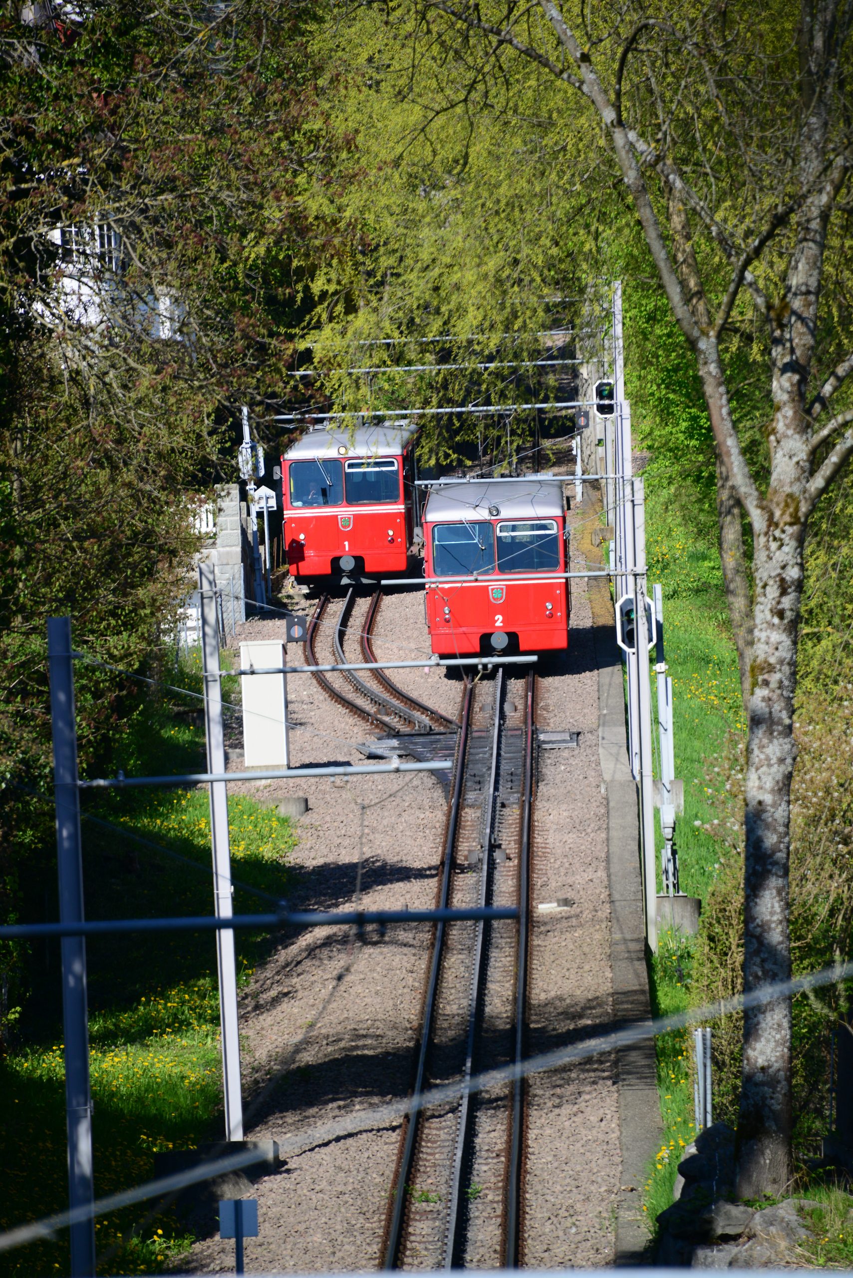 Featured image for “KW08/2025 – Zürich: Eine Zahnradbahn für die Hautevolée”